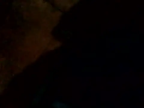 Snapshot of Guanatos13 chatting on February 24, 2026, 4:21 am Guanatos13 online show from February 24, 2026, 4:21 am