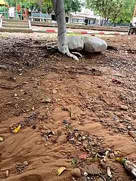 Snapshot of lunarous98 chatting on January 13, 2026, 5:18 pm lunarous98 online show from January 13, 2026, 5:18 pm