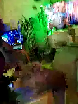 Snapshot of AssuringHarness166 chatting on April 7, 2026, 1:11 pm AssuringHarness166 online show from April 7, 2026, 1:11 pm