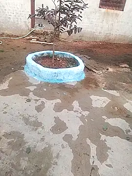 CUTE khusabi online show from January 18, 2026, 6:28 am