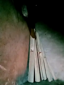 Diana-02 online show from March 24, 2026, 11:15 am