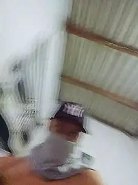 novinho br29 online show from February 17, 2026, 8:04 pm