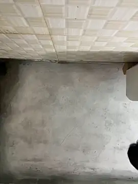 nmducnb online show from April 19, 2026, 8:13 am