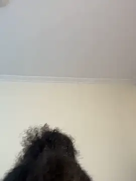 Ebony love07 online show from April 18, 2026, 1:04 pm