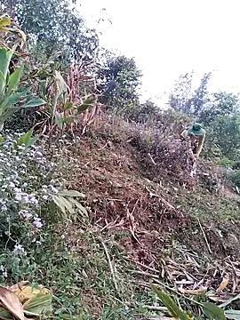 Snapshot of lia-coy chatting on April 15, 2026, 12:50 am lia-coy online show from April 15, 2026, 12:50 am