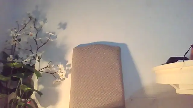 Dolcezzastella online show from March 1, 2026, 7:43 am