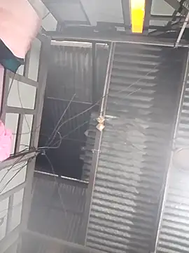 maisamim2 online show from March 21, 2026, 7:35 am