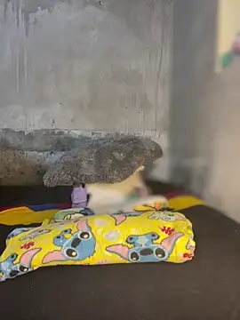 Snapshot of Iam_AlexandraRey chatting on February 3, 2026, 7:02 am Iam AlexandraRey online show from February 3, 2026, 7:02 am