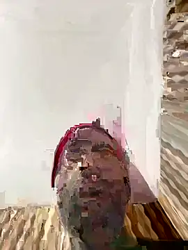 hardlysuck online show from February 4, 2026, 2:39 am