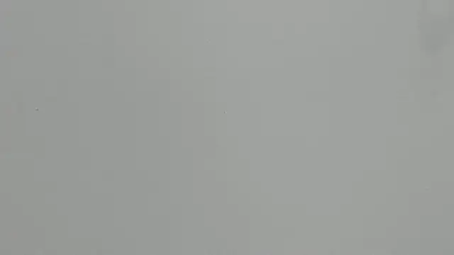 Ashley Ebony   online show from February 18, 2026, 12:34 pm