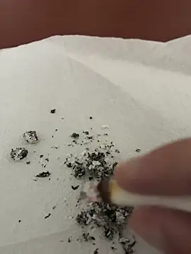 Snapshot of dickdondra chatting on February 2, 2026, 11:42 am dickdondra online show from February 2, 2026, 11:42 am