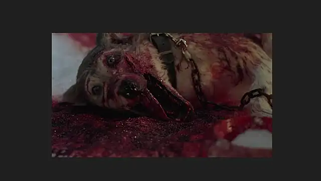 Snapshot of lil_monikaa chatting on April 12, 2026, 1:54 am lil monikaa online show from April 12, 2026, 1:54 am