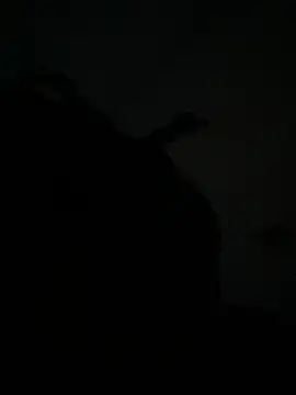 Hazelnuts29 online show from April 3, 2026, 4:43 am