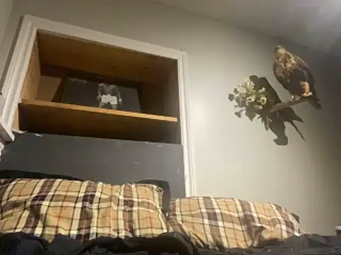 Snapshot of yourwhiteboy1 chatting on March 1, 2026, 3:08 am yourwhiteboy1 online show from March 1, 2026, 3:08 am