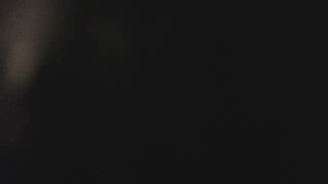 Fancy Vixen online show from February 27, 2026, 3:50 am