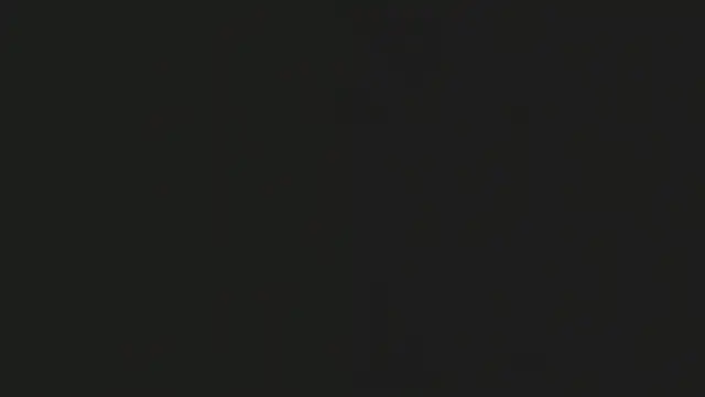 noaa smith  online show from February 18, 2026, 10:55 am