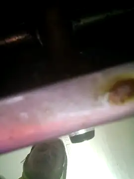 Snapshot of khushi_rawat chatting on February 12, 2026, 2:17 am khushi rawat online show from February 12, 2026, 2:17 am