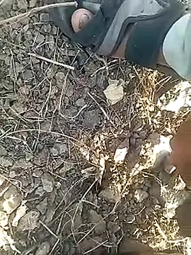 Cute Boy 4 online show from February 12, 2026, 11:16 am