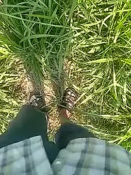 Cute Boy 4 online show from February 22, 2026, 5:30 am