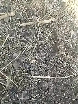 Cute Boy 4 online show from March 8, 2026, 7:45 am