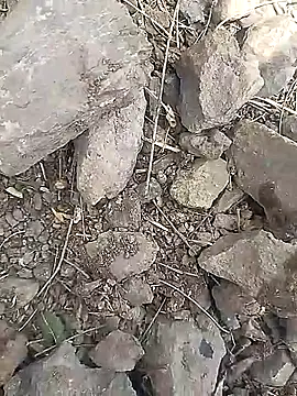 Cute Boy 4 online show from March 30, 2026, 6:47 am