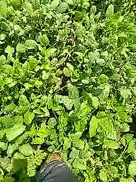 Cute Boy 4 online show from April 9, 2026, 6:30 am