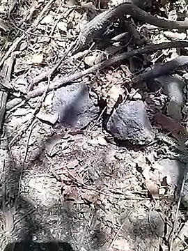 Cute Boy 4 online show from April 15, 2026, 8:10 am