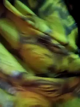 Snapshot of Muskan44s chatting on February 17, 2026, 12:23 pm Muskan44s online show from February 17, 2026, 12:23 pm