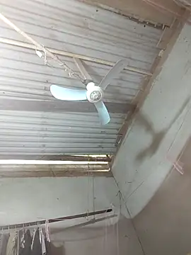 JordanX 01 online show from April 3, 2026, 5:38 am