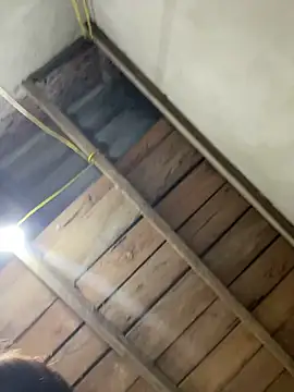 2b-xx online show from March 4, 2026, 4:07 am