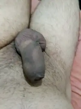 putopau15 online show from April 2, 2026, 4:10 am