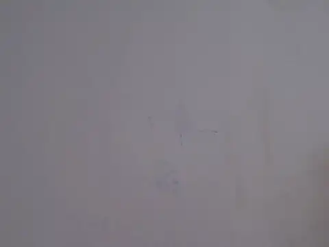 Snapshot of placerverdadero chatting on February 15, 2026, 5:48 am placerverdadero online show from February 15, 2026, 5:48 am