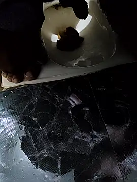 telugucoupless143 online show from April 5, 2026, 8:44 am