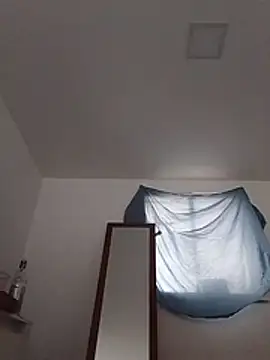 Snapshot of luissiq chatting on February 4, 2026, 1:17 pm luissiq online show from February 4, 2026, 1:17 pm