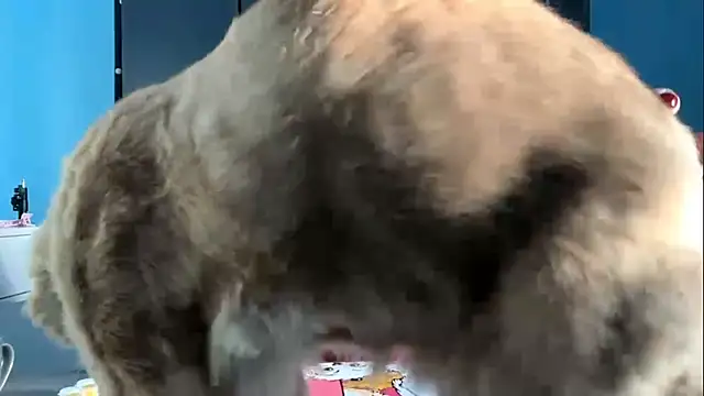 AndreeMerryman online show from February 5, 2026, 8:08 am