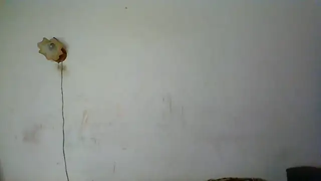 NickiKisinger online show from May 16, 2026, 6:21 am