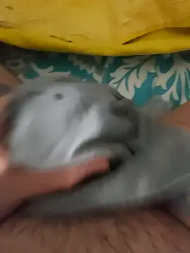 birzevkmeselesi online show from February 10, 2026, 8:57 pm