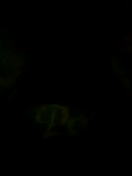 S7LEALTADPERVLIMA7 online show from June 12, 2026, 3:05 am