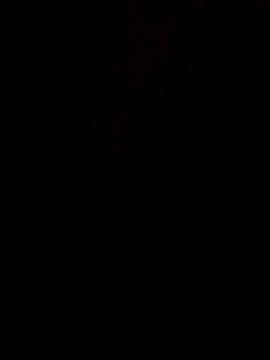 S7LEALTADPERVLIMA7 online show from June 21, 2026, 7:27 pm
