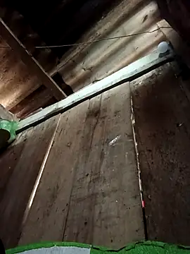 Small flower1 online show from February 10, 2026, 2:04 am