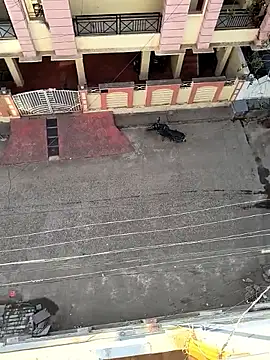 Snapshot of Castrol1289 chatting on February 11, 2026, 3:00 am Castrol1289 online show from February 11, 2026, 3:00 am