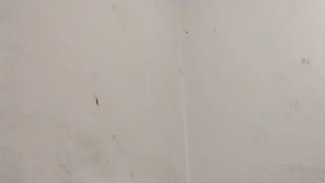 MisterSnowww online show from March 6, 2026, 9:55 pm