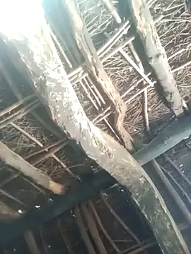 Snapshot of Manu_mehta chatting on March 31, 2026, 4:57 am Manu mehta online show from March 31, 2026, 4:57 am