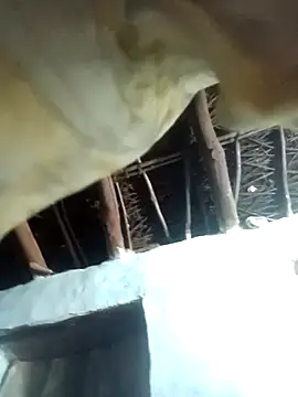 Snapshot of Manu_mehta chatting on April 6, 2026, 5:25 pm Manu mehta online show from April 6, 2026, 5:25 pm