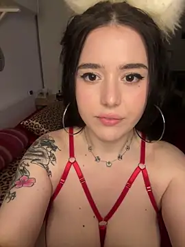 Snapshot of Venustrapp chatting on February 14, 2026, 2:47 pm Venustrapp online show from February 14, 2026, 2:47 pm