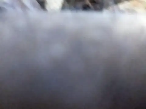 Snapshot of Joecool1009 chatting on February 3, 2026, 12:31 am Joecool1009 online show from February 3, 2026, 12:31 am