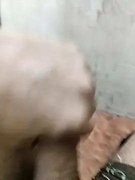 basyo2 online show from April 11, 2026, 11:36 am