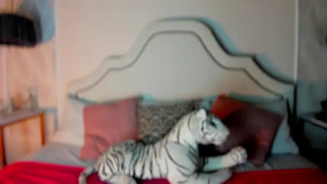 Snapshot of niicole_garner chatting on February 11, 2026, 4:34 pm niicole garner online show from February 11, 2026, 4:34 pm