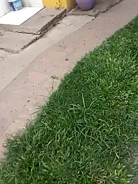 Snapshot of gordorichard chatting on February 4, 2026, 4:46 pm gordorichard online show from February 4, 2026, 4:46 pm