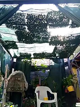 Snapshot of gordorichard chatting on February 21, 2026, 12:39 pm gordorichard online show from February 21, 2026, 12:39 pm